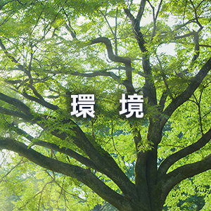 環境